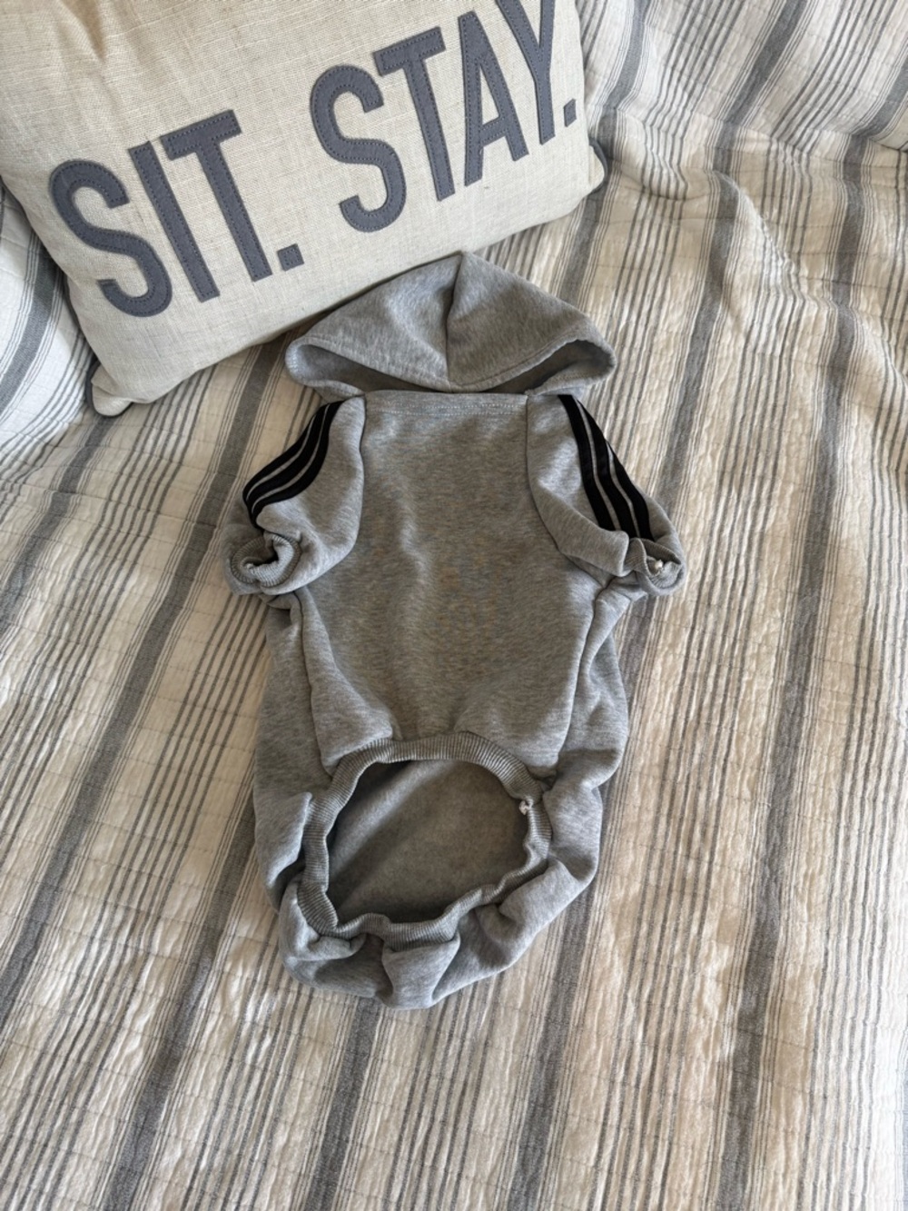 Adidas Adidog Grey Dog Hoodie with Black Logo - Picture 2 of 4